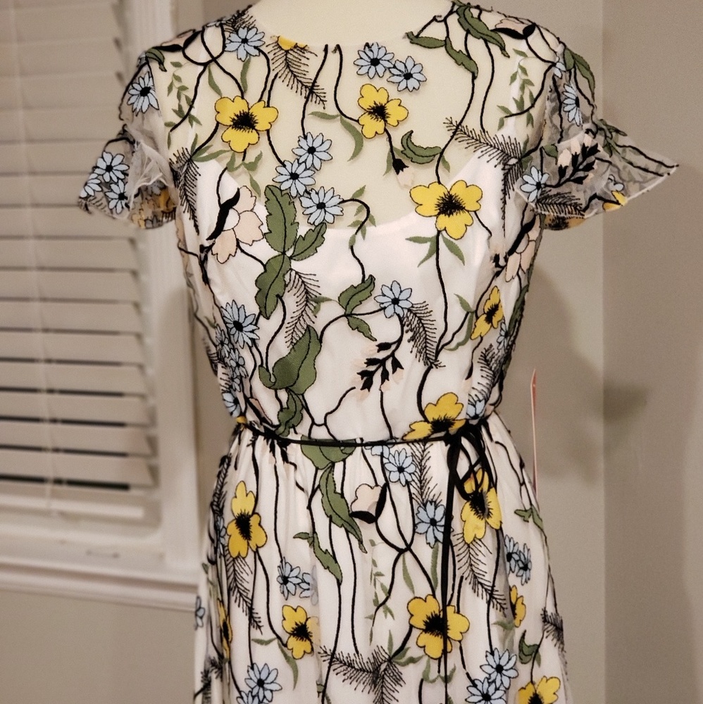 BHLDN Forsythia Daisy Dress 14 Monique Lhuillier - Picture 5 of 8